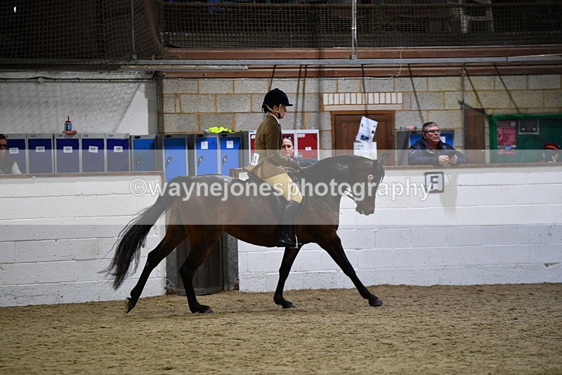 WJ5_8939 - Class 15 Ridden Show Horse