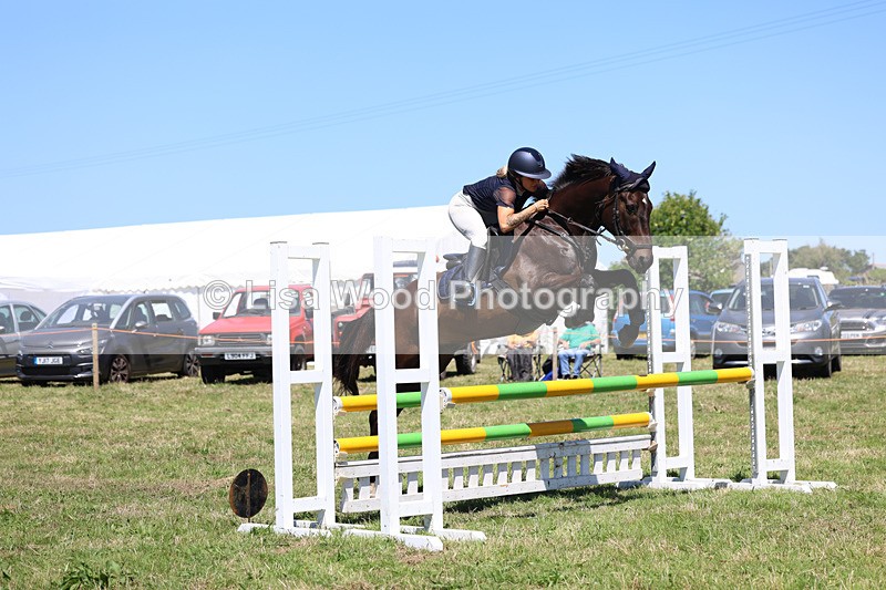3E7A5674 - Class 9: Senior British Novice/90cm open