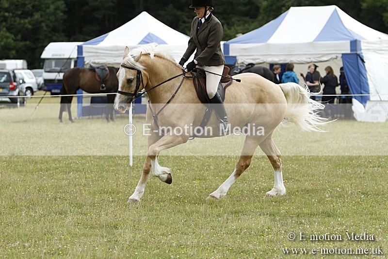 BVR160717-399 - Ring 3 BVRC Show 16/07/17