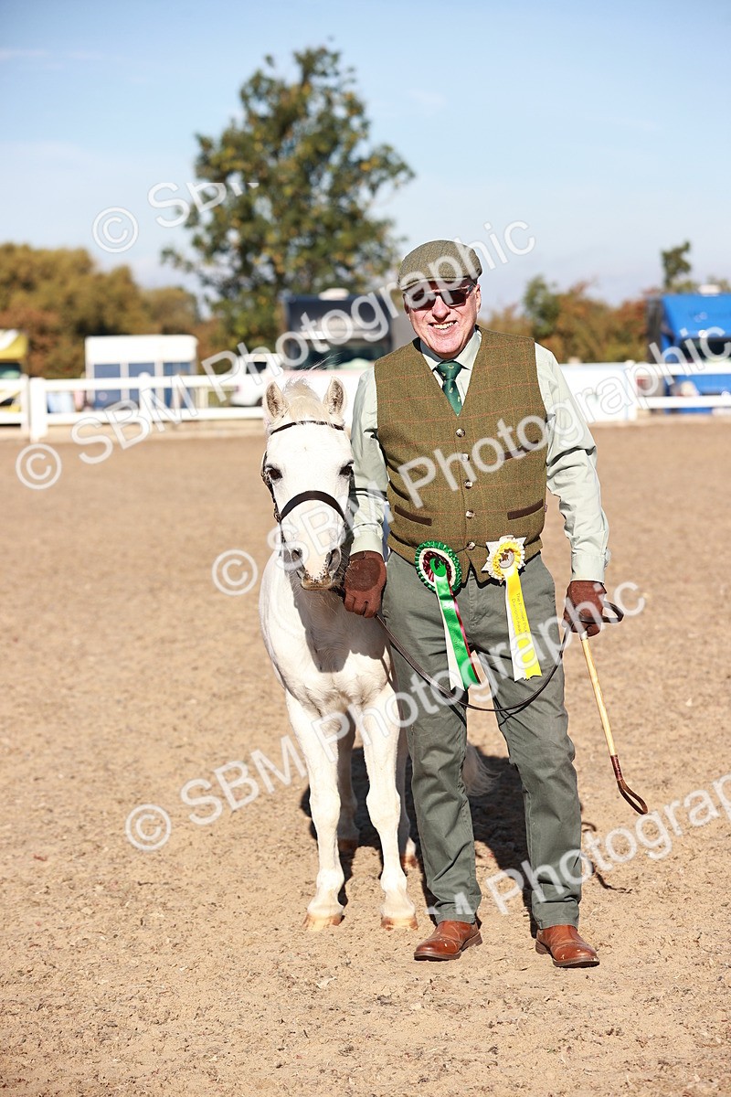 SBM_11466 - Class 402 - IH  Veteran pony