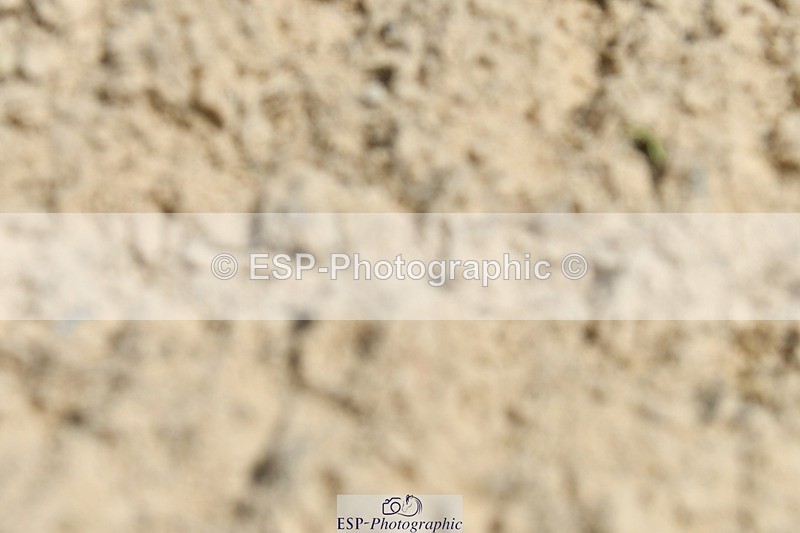 230623-134417-00846 - Cls 5 Elementary 43