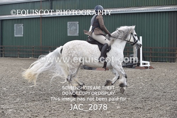 JAC_2078 - CLASS 1 Nursery Novice Working Hunter