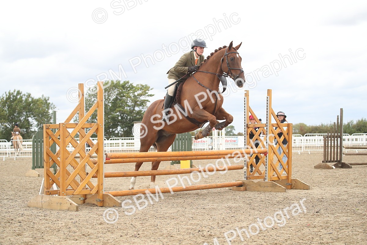 SBM_18276 - Class 509a - Working Veteran - 80cm (15-19)