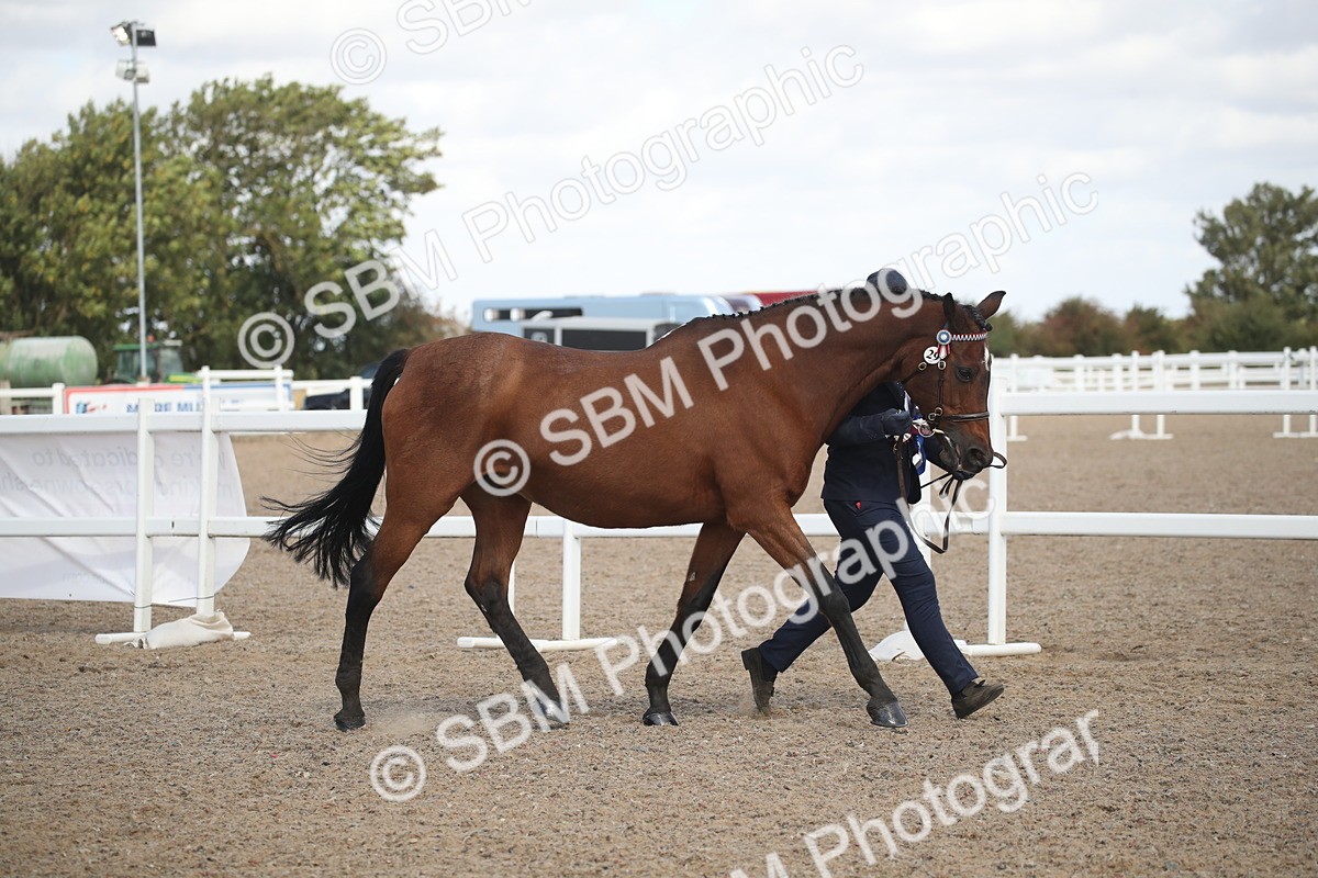 SBM_23503 - Class 604 - 2026 - Area IH Diamond