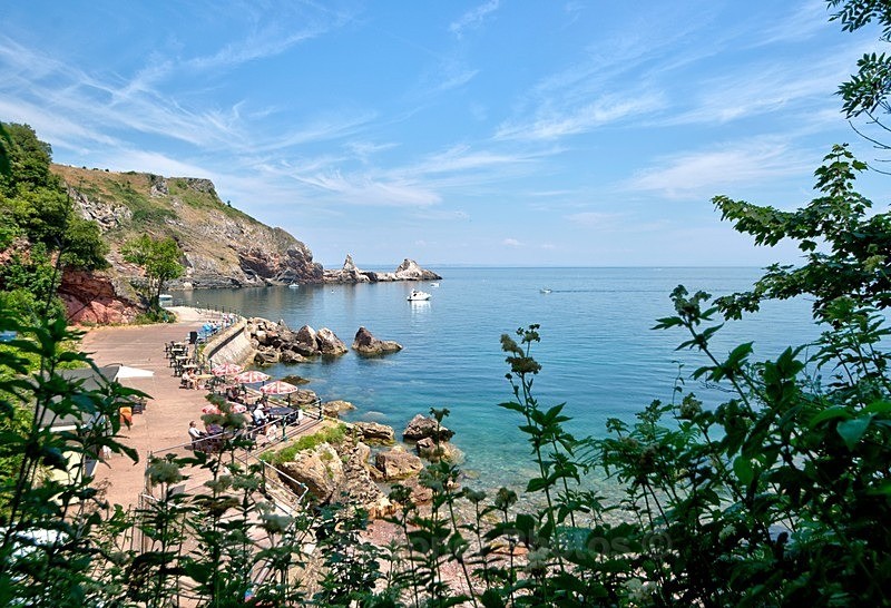 View through the trees of Ansteys Cove and Long Quarry Point in Torqua