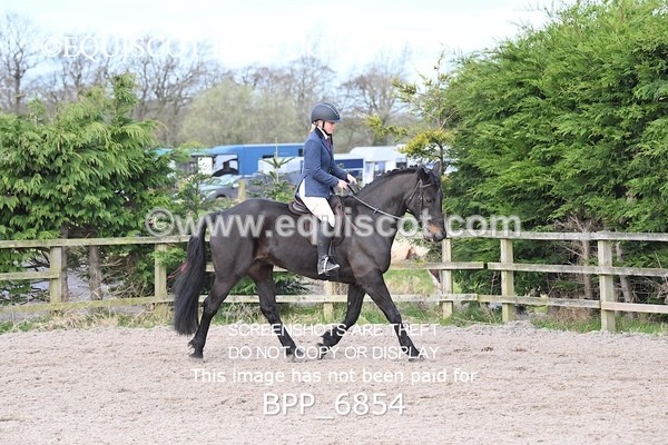 BPP_6854 - RING 1  (RIDDEN HORSES / IN HAND / VETERAN ETC)
