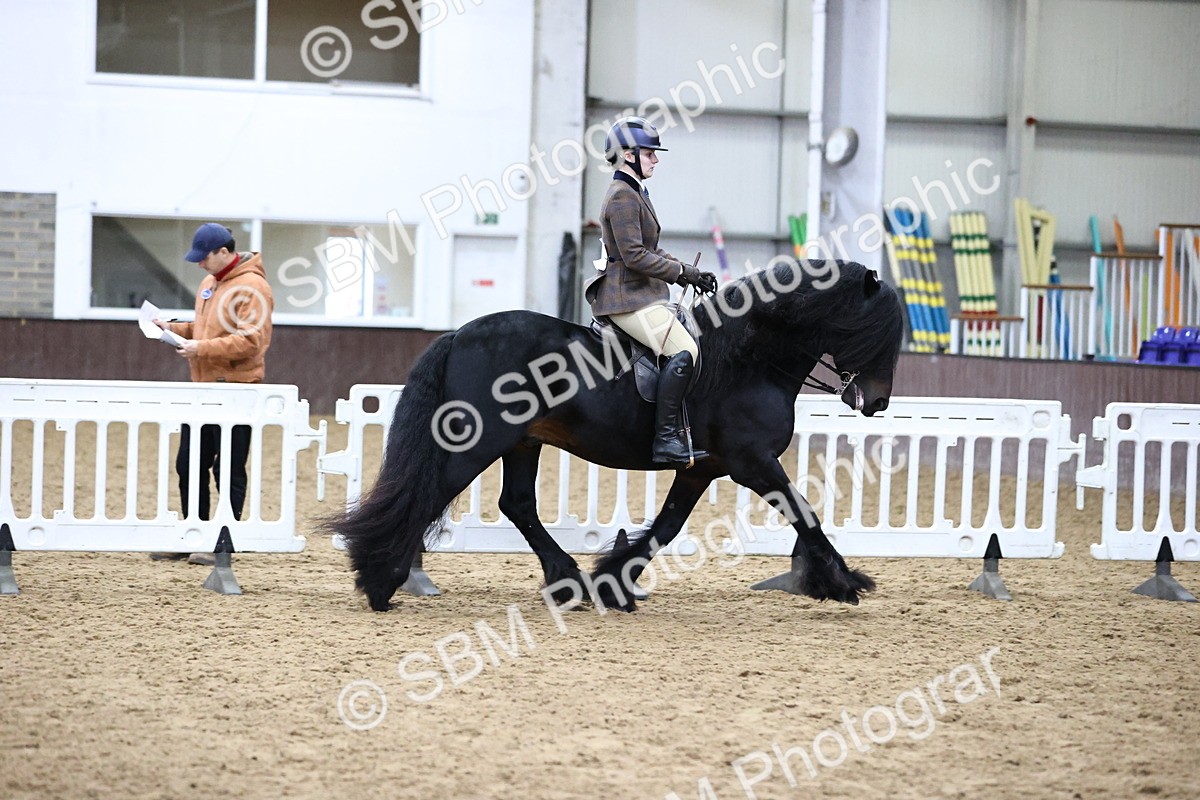 SBM_6539 - Class 43 - Ridden Native Breeds