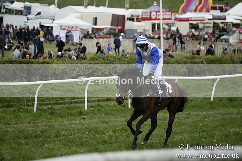 PtP 170417 576 - Old Berks Point-to-Point Lockinge 17/04/17
