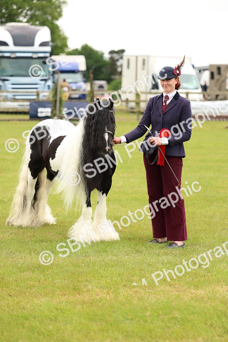 SBM_06305 - Class 39-41 TGCA In Hand and Ridden