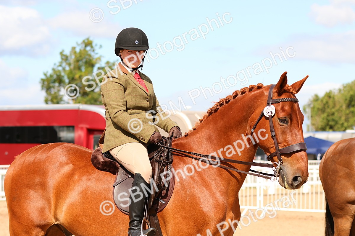 SBM_13212 - Class 211 - Ridden Hunter - Small