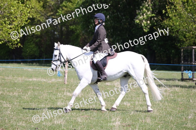 20250427-3194 - Class 33 - Best Pony 14.2hh and Under