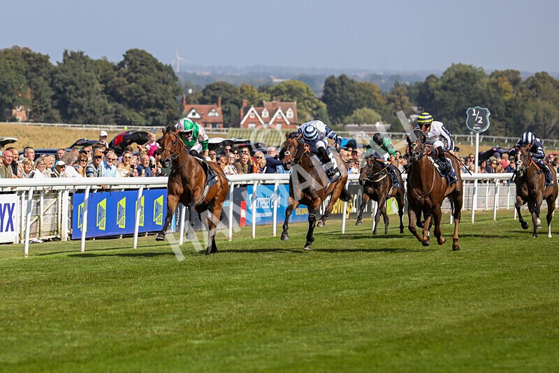 310824-Race 2-Democracy Dilemma-1118 - Race 2