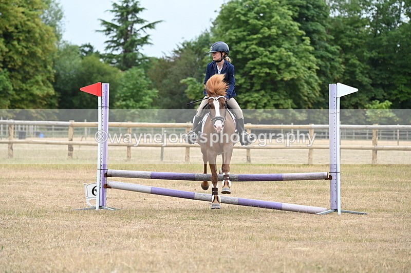 WJ6_0207 - Class 13 Novice Jumping 60cm
