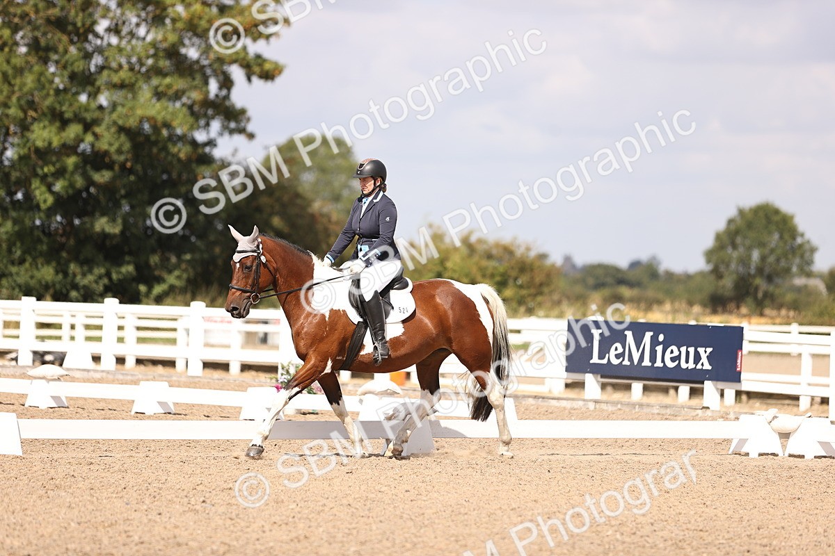 SBM_03724 - CLass 35 Intro 3