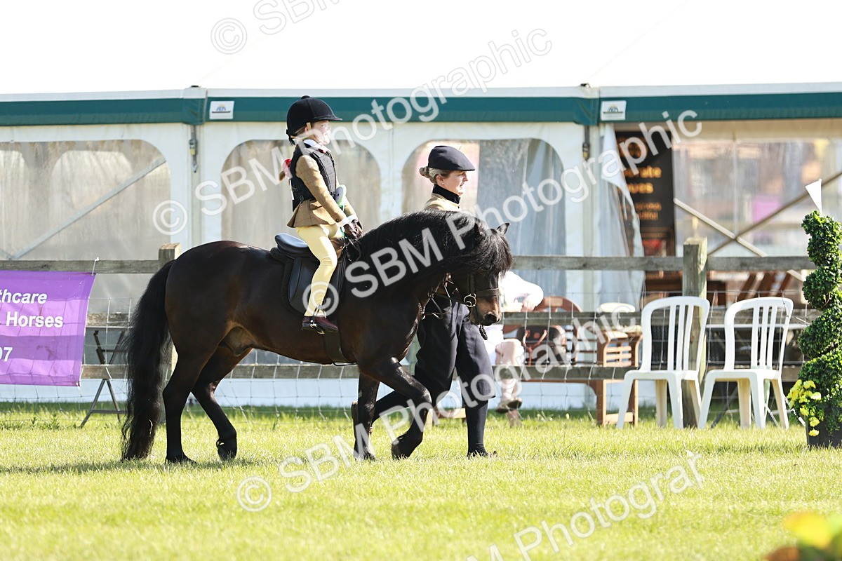 SBM_11360 - Class 106-107 - BSPS LIHS Working Sports Pony