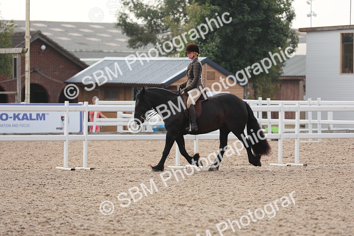 SBM_10052 - Class 302 Ridden M&M -Large Breeds