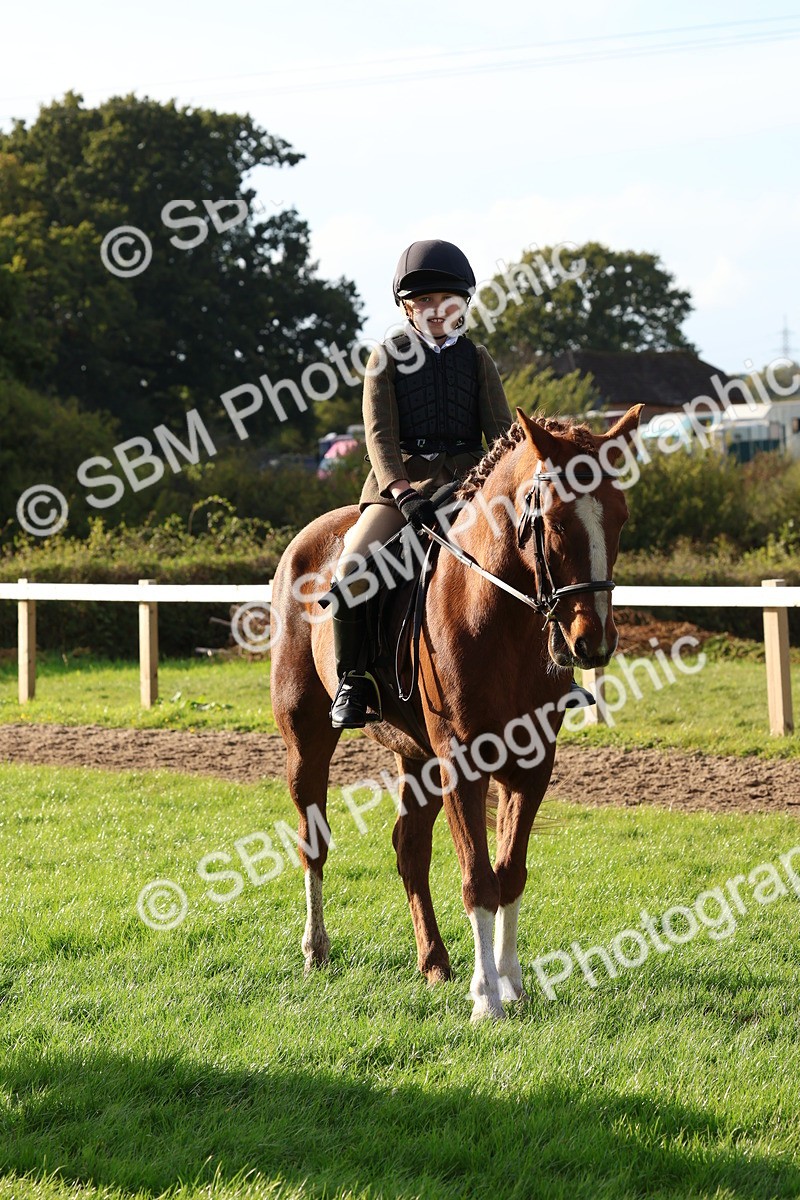 SBM_52637 - S13 - Pony Club Pony