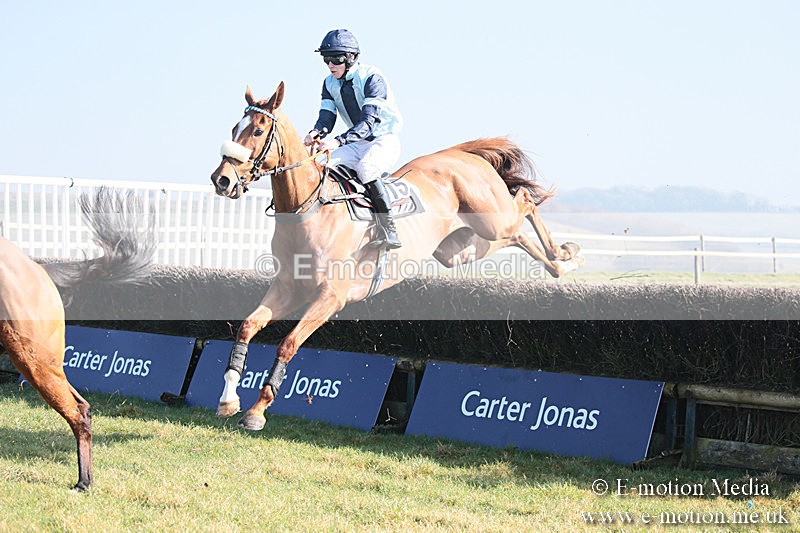 PtP 230219 289 - Vine & Craven Point-To-Point - Barbury 23/02/19