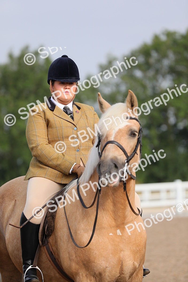 SBM_10151 - Class 302 Ridden M&M -Large Breeds