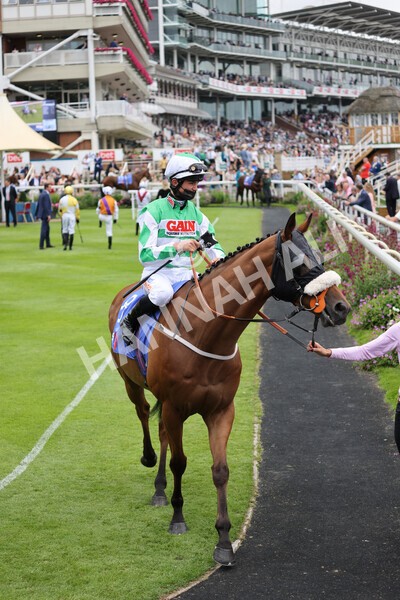 yr24072021r2-8 - Race 2 2.40pm Sky Bet Dash