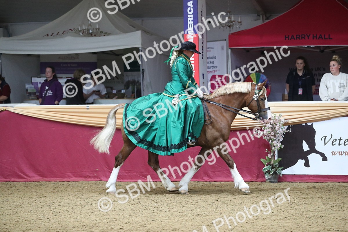 SBM_12112 - Class 107 Ridden Costume- Astride Adult (20+)