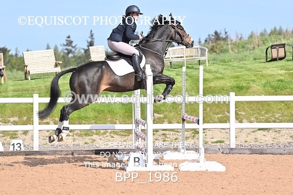 BPP_1986 - CLASS 3 - FRI - Senior British Novice/90cms Open