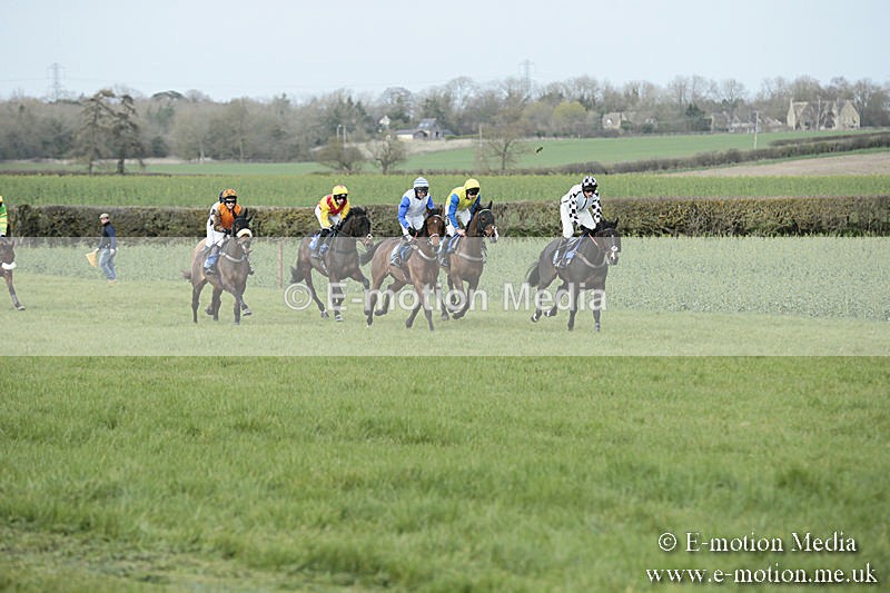 PtP 230319 234 - VWH Hunt Siddington Point-to-Point Racing 23/03/19