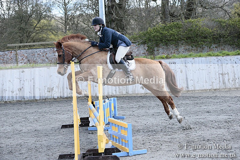 BVRC SJ 170319 214 - Bourne Valley Riding Club Showjumping 17/03/19