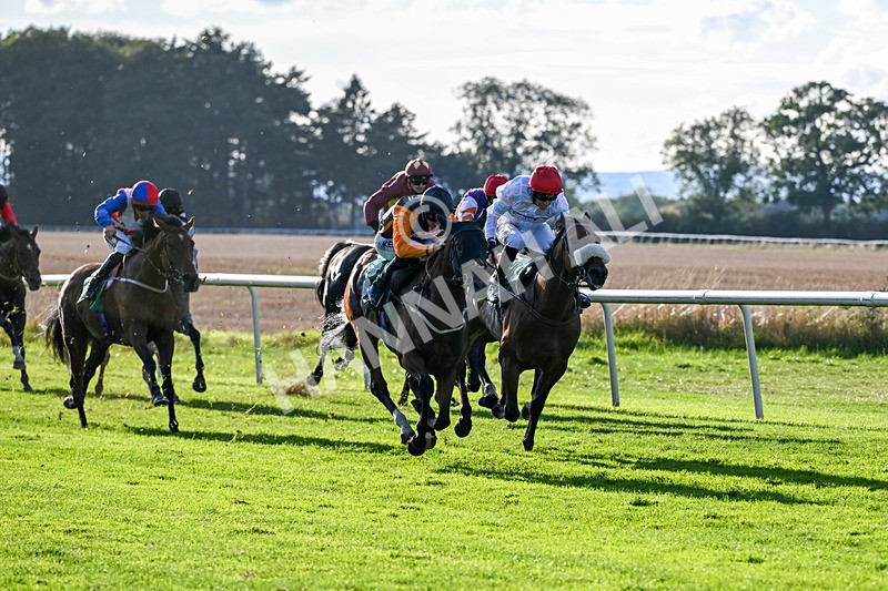 140926-Race 7-Forest Caper-7934 - Race 7 5.21pm Bowel Cancer Screening Programme Saves Lives Handicap