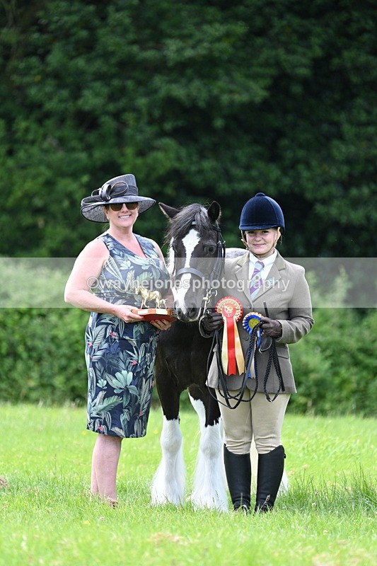 WJ7_1562 - Class 11 Condition & Turnout