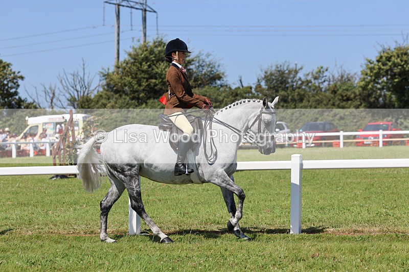 IMG_2170 - Class 36: Part Bred Ridden M & M