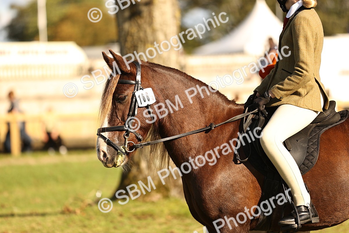 SBM_29389 - S7 - Novice & Newcomers Ridden Pony