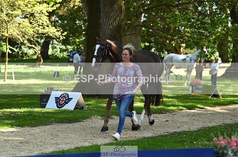 230524-154342-00459 - 376-DIRECT_BALLYTARSNA_DUCAREL-Jodie_Amos-WEDTrotUp+DR