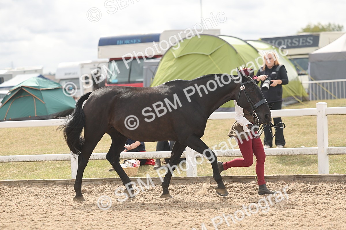 SBM_04923 - Class 20 - IH Veteran