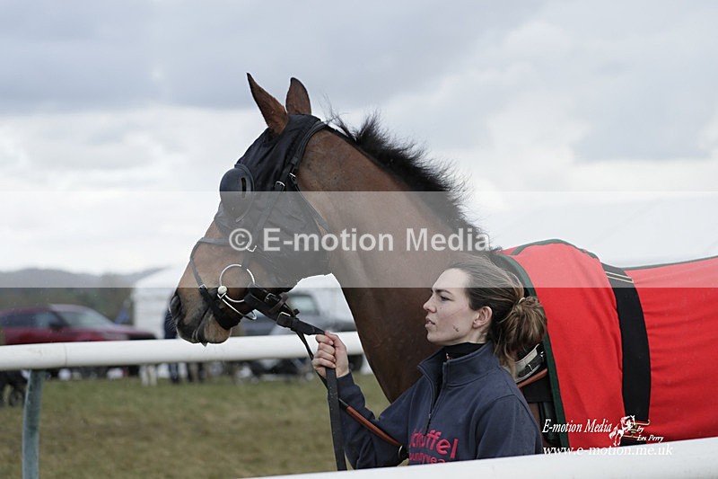 PtP 180323 1032 - Shelfield Park Races with Croome & West Warwickshire Hunt  18/03/23