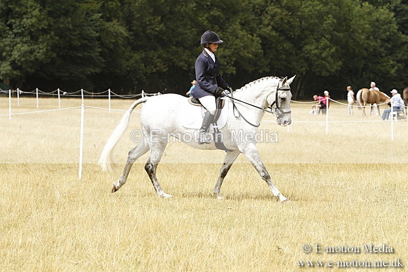 _BS_0994 - Working Hunter Championship BVRC Show 2018