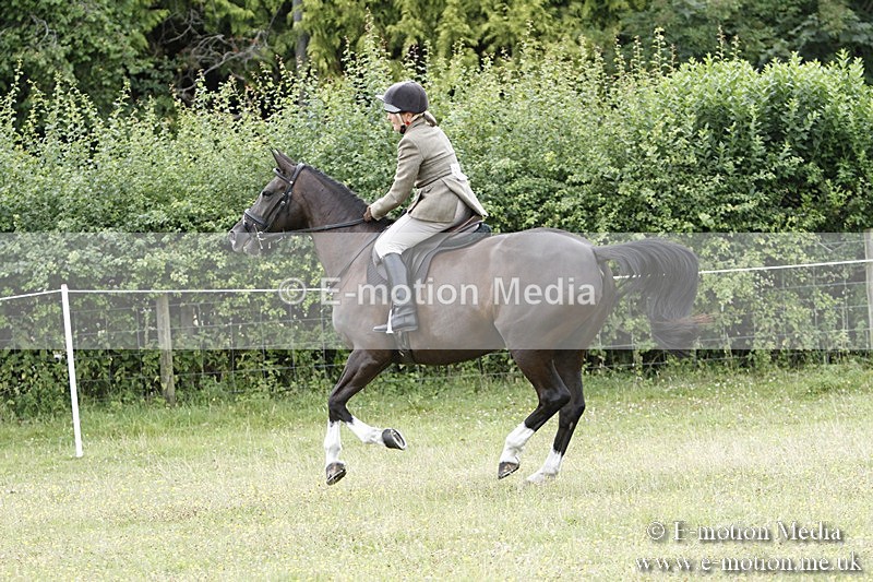 BVR160717-1844 - Ring 3 BVRC Show 16/07/17