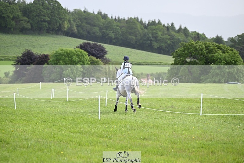 240526-111330-20829 - 416-CRISTAL_FONTAINE-Kitty_King