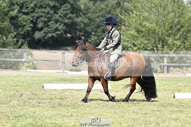 250822A-115522-22442 - DR 11.00 to 12.00