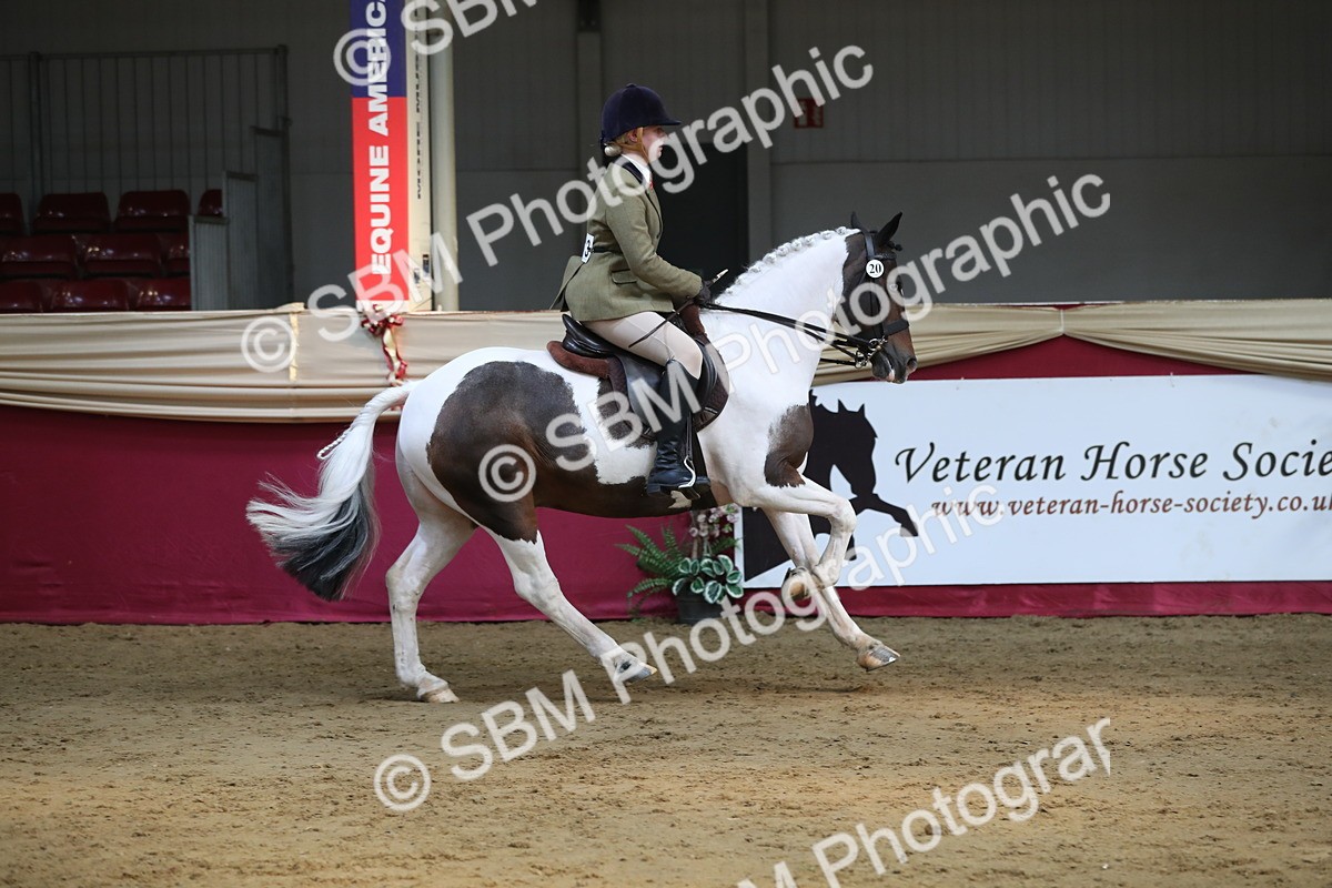 SBM_08301 - Class 11R Regional Ridden Veteran