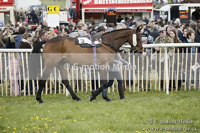 PtP 170417 114 - Old Berks Point-to-Point Lockinge 17/04/17