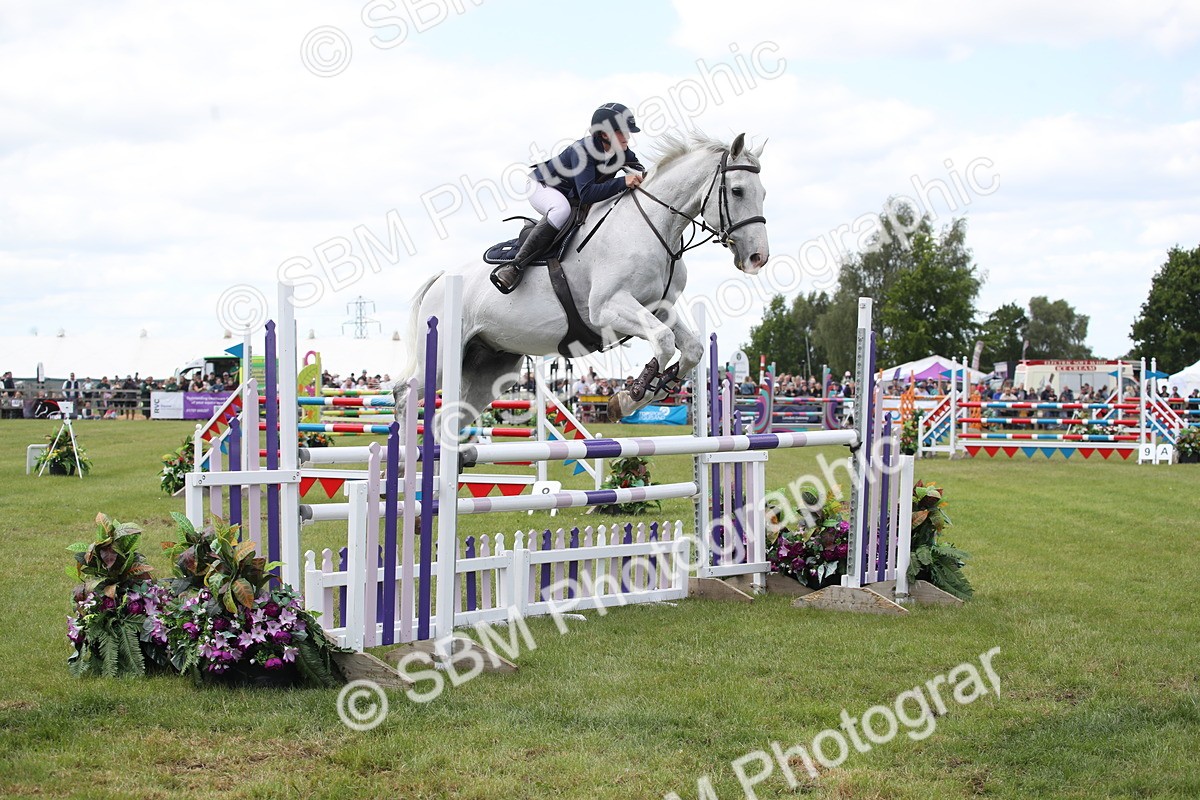 SBM_17436 - Class 208 - Senior Foxhunter 1.20m Open