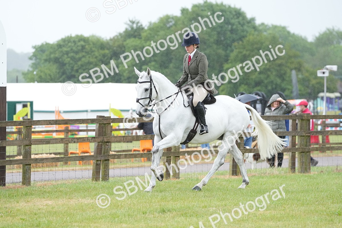SBM_12679 - Class 97-98 - LIHS BSHA Rising Star Working Show Horse Hunter