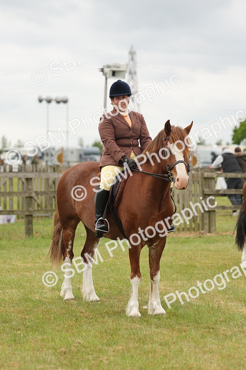 SBM_07229 - Class 76-77 - Ridden M&M Welsh Ponies