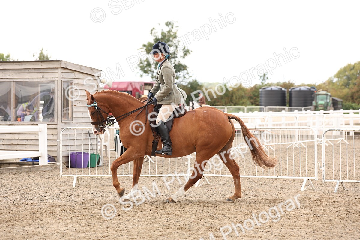 SBM_04204 - Class 54 - Riding Club Horse/Pony