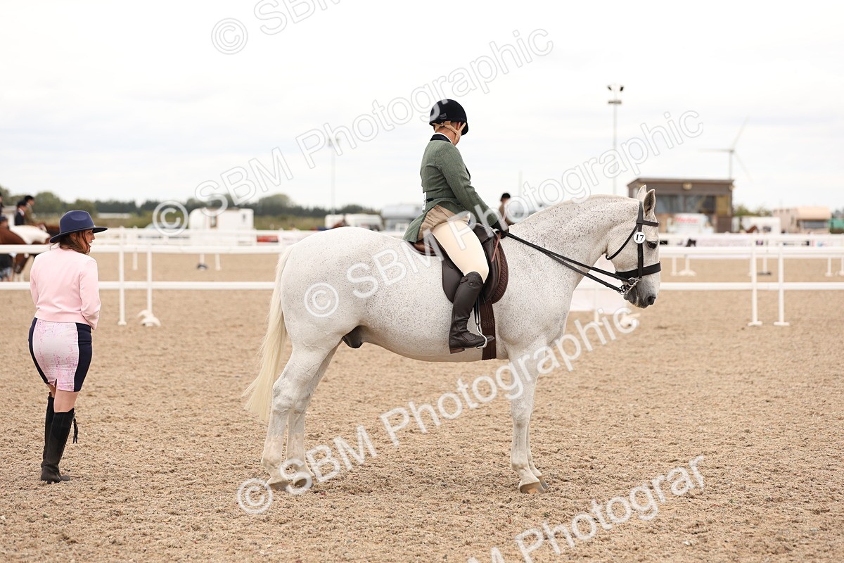 SBM_19583 - Class 215 - Ridden Show cob