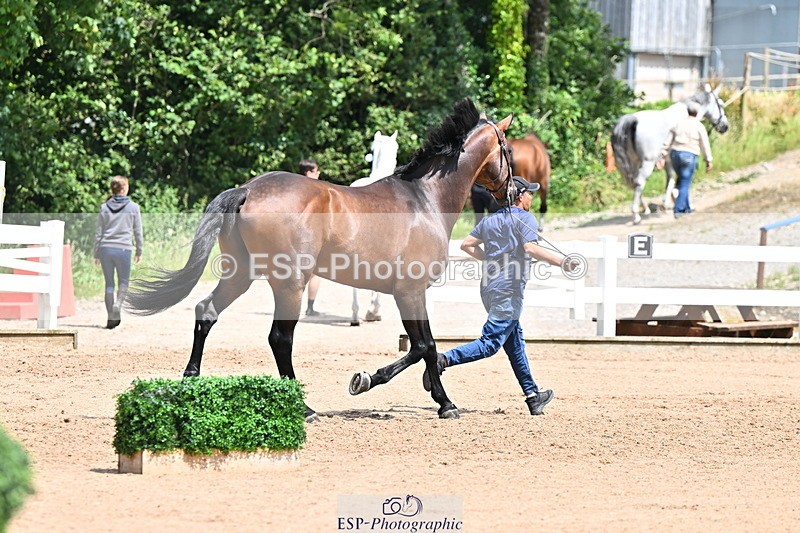 240718A-105307-01583 - Trot Up 1pm to 2pm