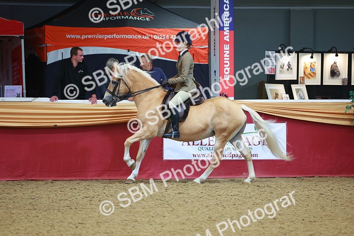 SBM_09789 - Class 102 - HOYS Veteran Qualifier - Ridden Veteran