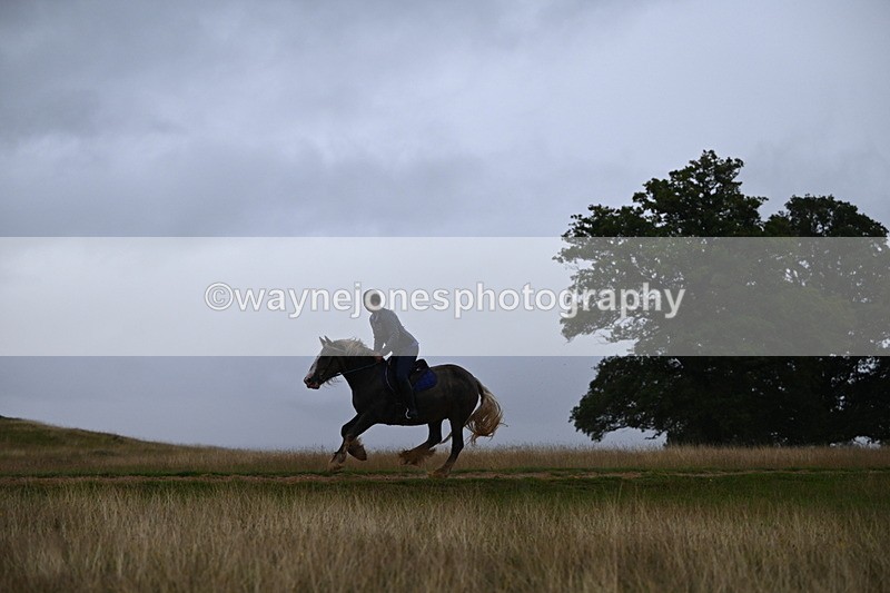 DSC_3294 - Time at Statue 12:59 to 13:49