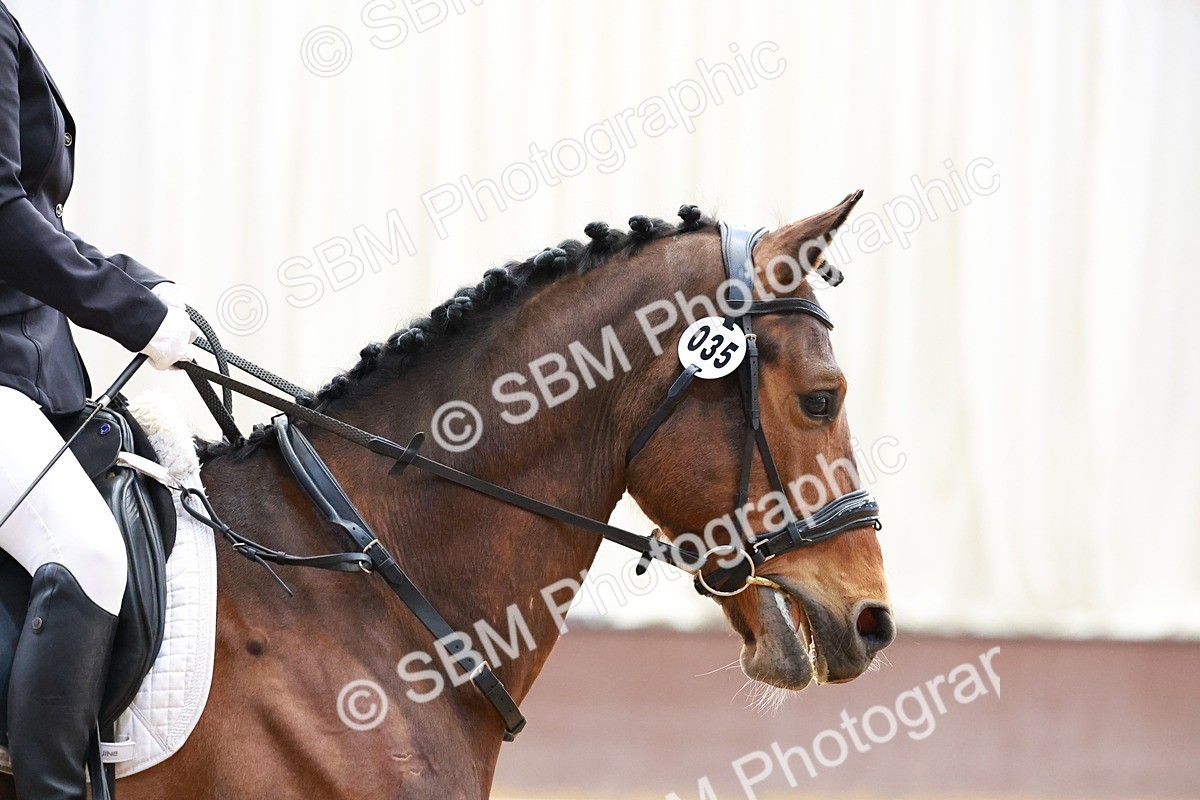 SBM_000085 - Class 1 - Intro 1